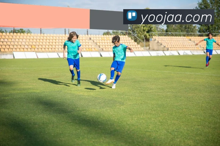 九游官方官网入口平台生态图