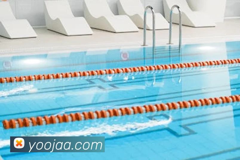 九游官方官网入口全站App